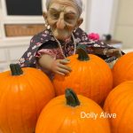 La abuela Clara y las calabazas de Halloween